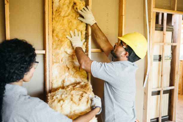 Best Blown-in Insulation  in Middletown, PA
