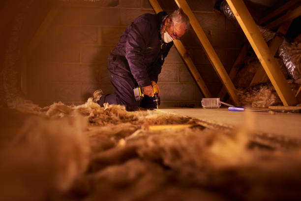 Best Professional Insulation Contractor  in Middletown, PA